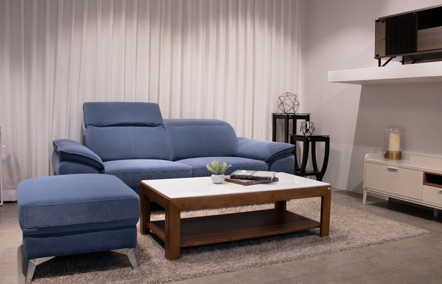 Gợi ý cách chọn sofa cho người nuôi thú cưng