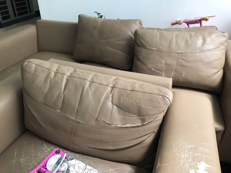 Ưu điểm và nhược điểm của bọc ghế sofa da