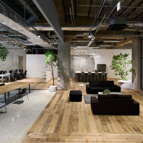 Thiết kế văn phòng theo phong cách Eco thân thiện