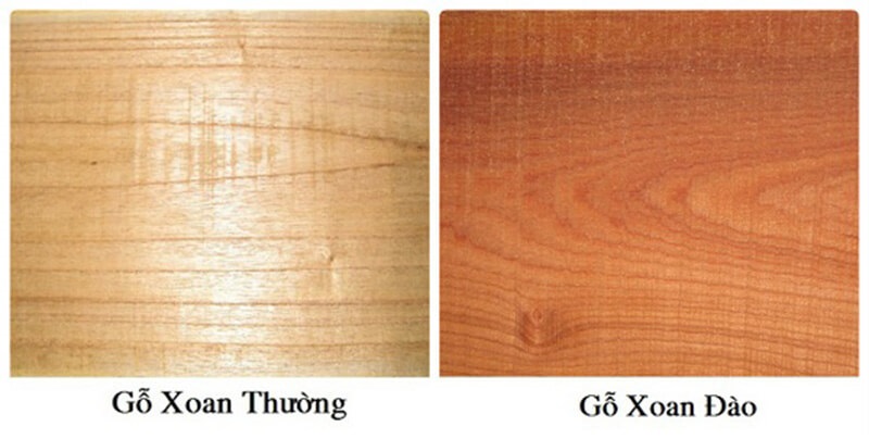 Ưu điểm của gỗ xoan đào trong nội thất