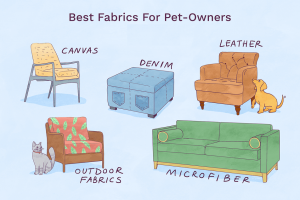 5 loại vải bọc sofa thân thiện với vật nuôi trong ngôi nhà bạn