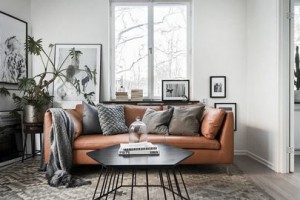 Phối hợp nội thất, bọc ghế sofa màu nâu cho không gian sống